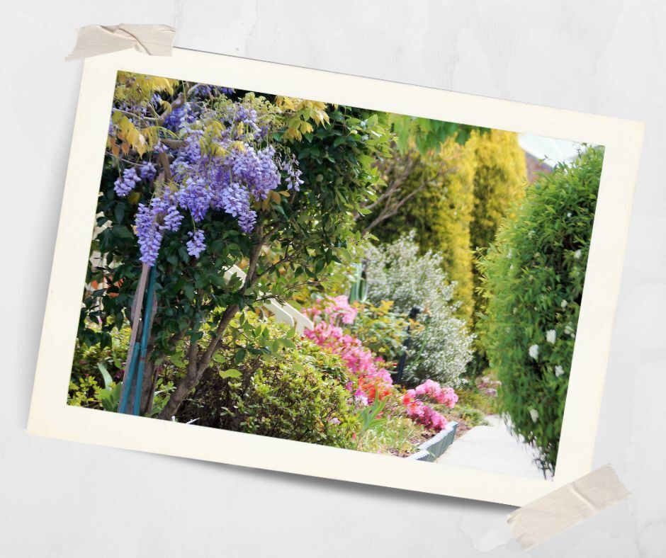 Gardening at Kirkley Gardens